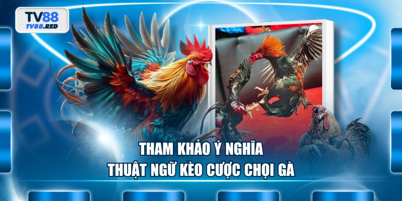 Tham khảo ý nghĩa thuật ngữ kèo cược chọi gà