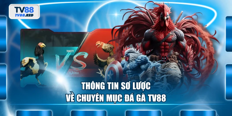 Thông tin sơ lược về chuyên mục đá gà TV88